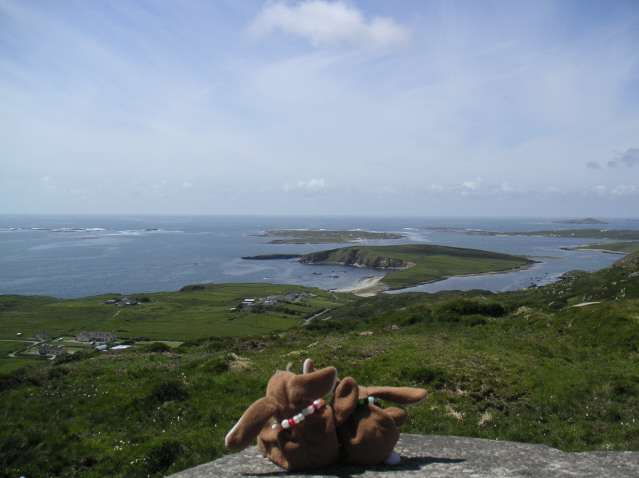 [rabbits overlooking the ocean]