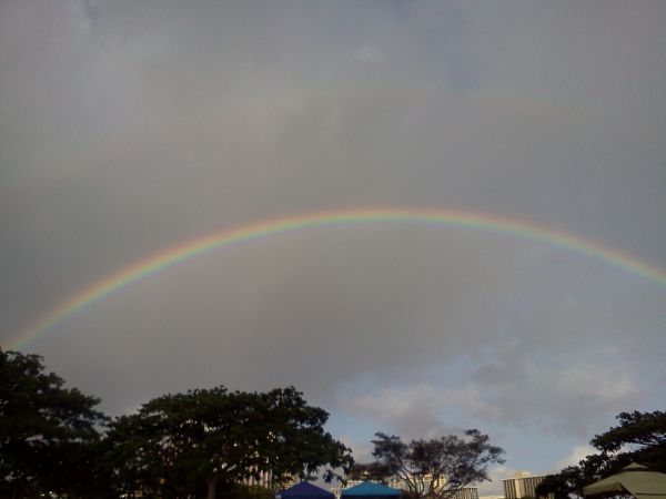 [double rainbow over trees]