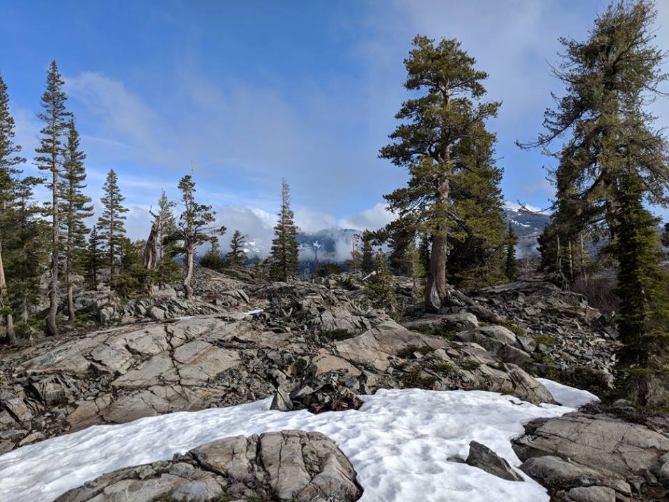 [mountains trees wilderness]