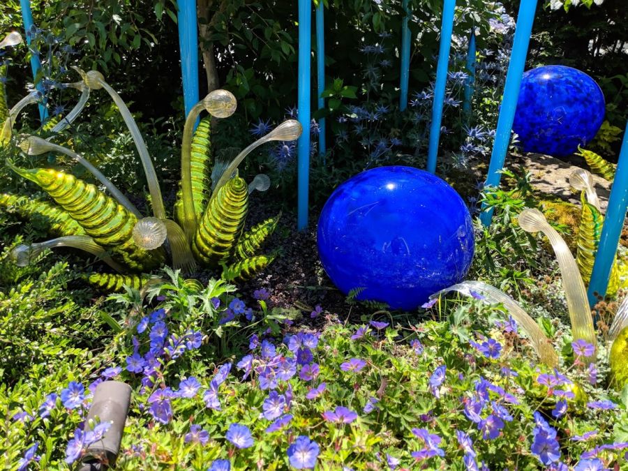 [blue green purple glass and plants]