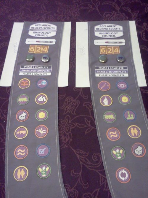 [sashes with badges]